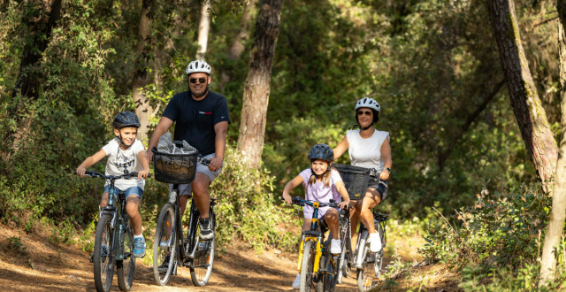 Balade à vélo sur piste cyclable en forêt
