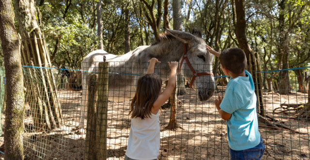 Animaux de la ferme au Parc des Floralies