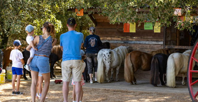 Balade à poneys au Parc des Floralies