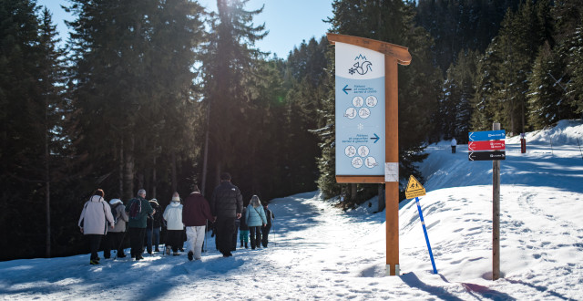 OT Karellis - hiver 2025 OT Karellis - hiver 2025