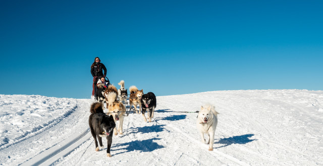 Balade_en_chiens_de_traineaux-JNJ_Photo-33675